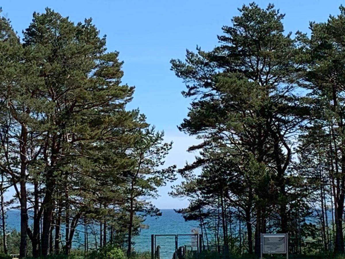 Ostseeblick Ruegen